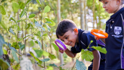 GSAL-Nursery-expansion-960x540.jpg