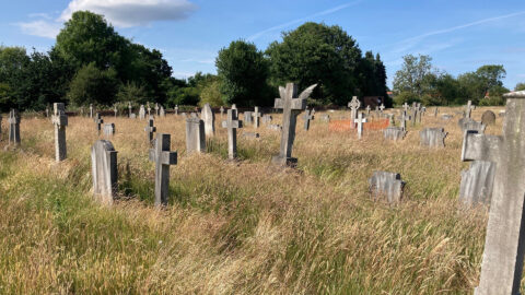 Before-on-18-June-2025.jpg