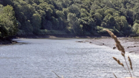 River-Esk-Credit-Burns-2025.jpg
