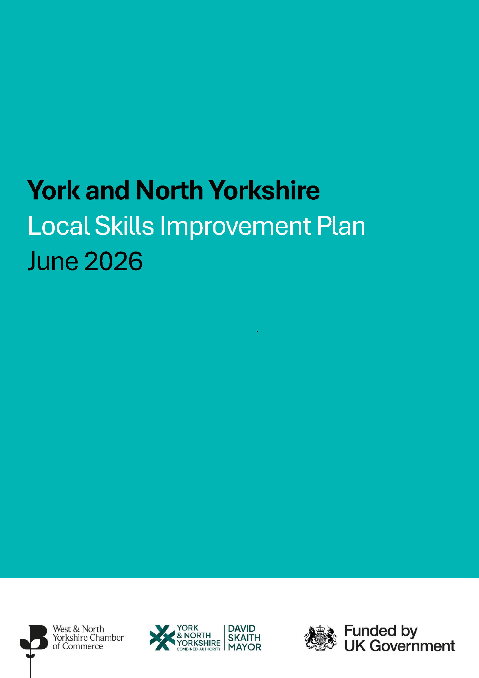 YNY LSIP Final Report 2026-2029 June V4 1