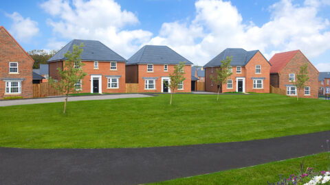 BDWYE-Typical-Street-Scene-at-a-David-Wilson-Homes-Development.jpg