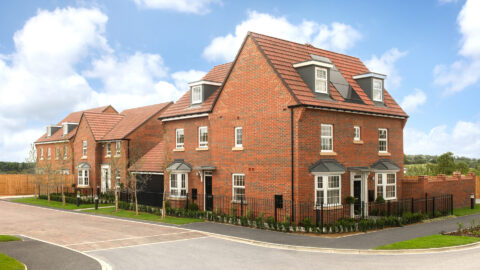 BDWYE-001-A-street-scene-at-Bramble-Wood.jpg