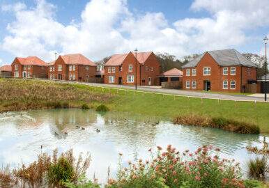 BDWNE-001-A-street-scene-at-David-Wilson-Homes-Grey-Towers-Village-development.jpg