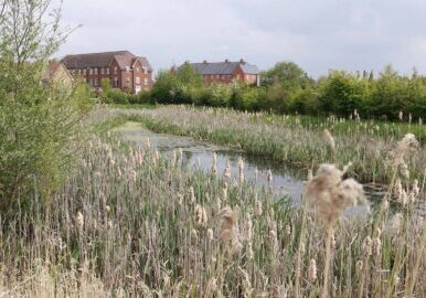 Barratt-Oakfield-Village-Kingsbrook-multi-functional-SuDS-area-with-drainage-biodiversity-views-amenity-and-access-to-nature.jpg