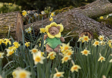 Bartholomew-Bear-Daffodil-Outfit.-Photo-by-James-Drury.jpg