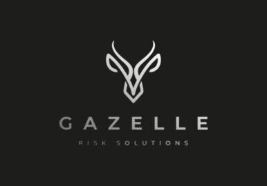 Gazelle-Risk-Solutions-960x540.jpg