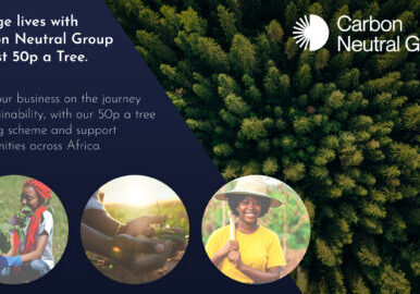 Aerial top view of summer green trees in forest in rural Finland. Drone photography