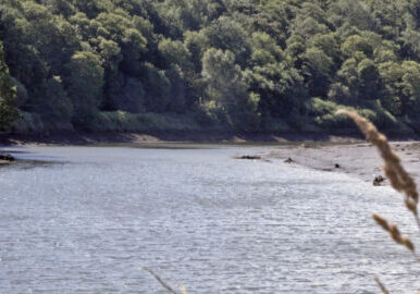River-Esk-Credit-Burns-2025.jpg