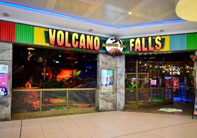 Volcano Falls White Rose